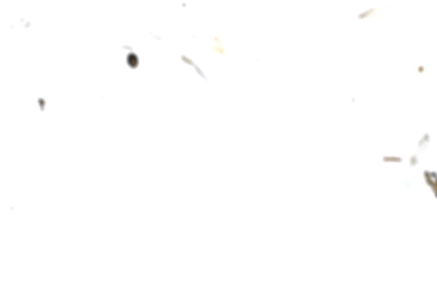 Image 107